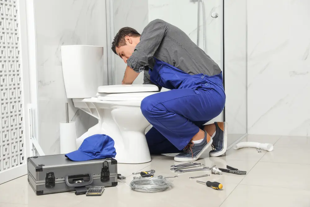 Toilet Repair in Roeville